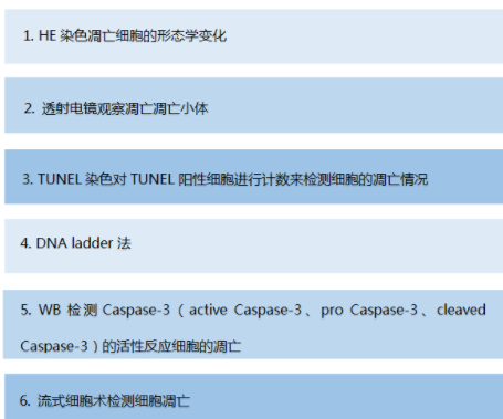 細(xì)胞、組織TUNEL凋亡染色實(shí)驗(yàn)服務(wù)